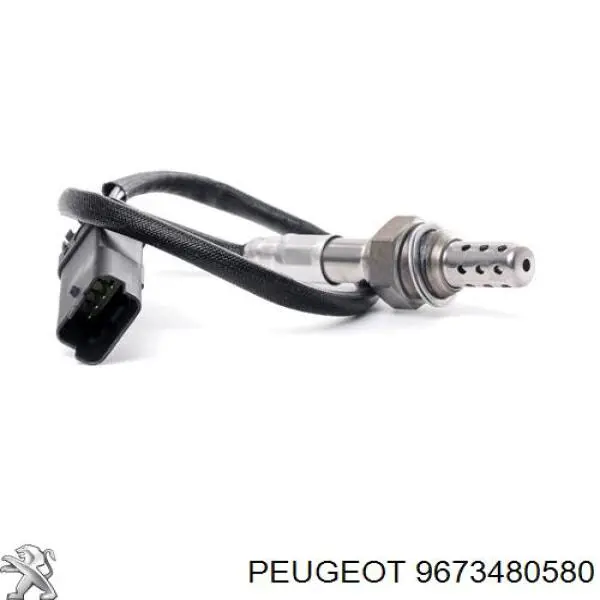 9673480580 Peugeot/Citroen 