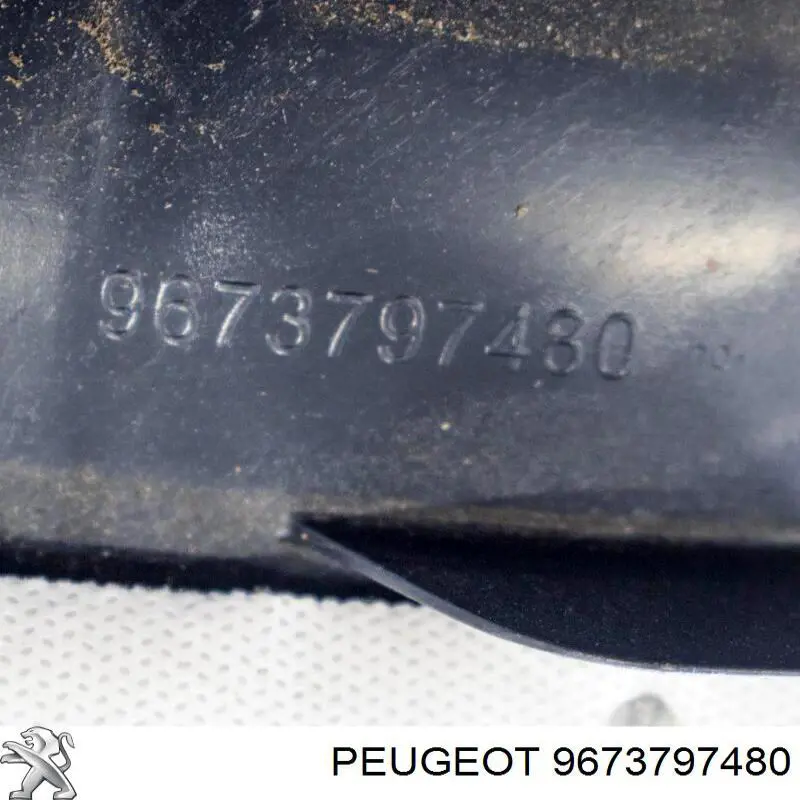 Купити 9673797480 Peugeot/Citroen Підкрилок заднього крила, лівий