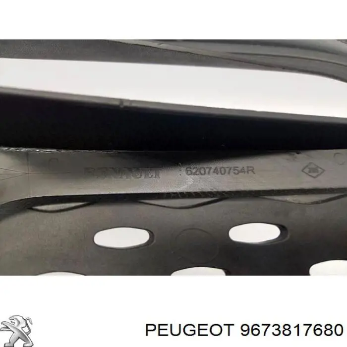 9673817680 Peugeot/Citroen 