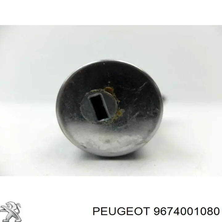 9674001080 Peugeot/Citroen 