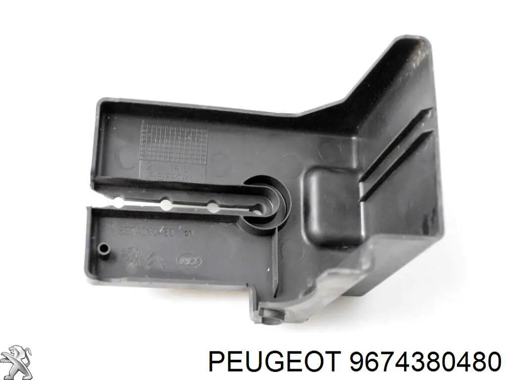 9674380480 Peugeot/Citroen 