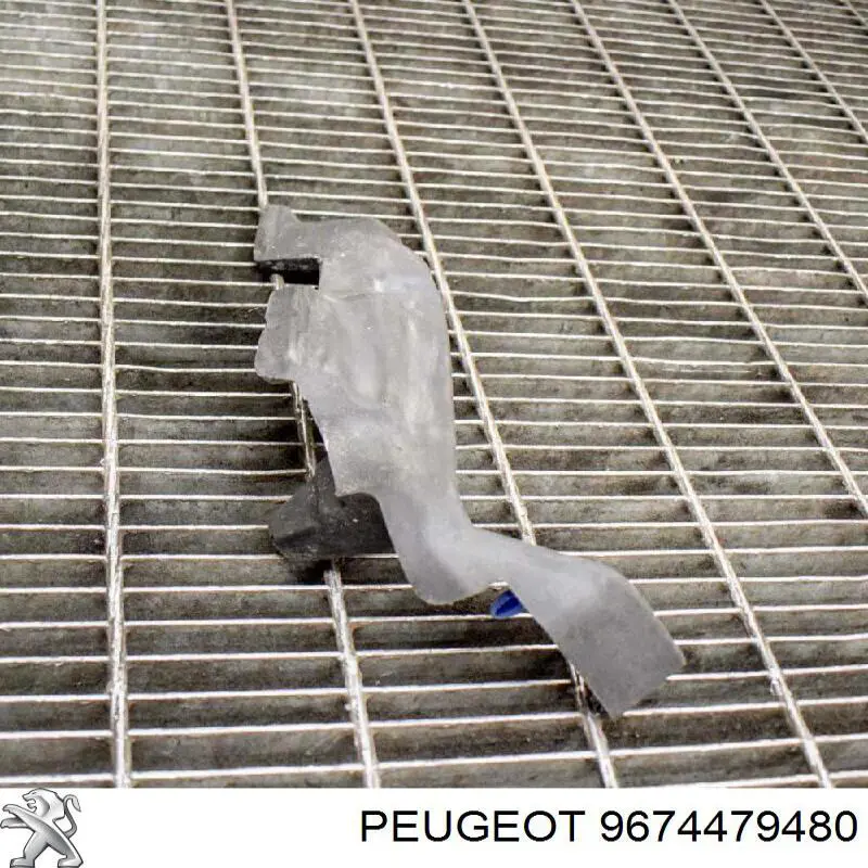  9674479480 Peugeot/Citroen