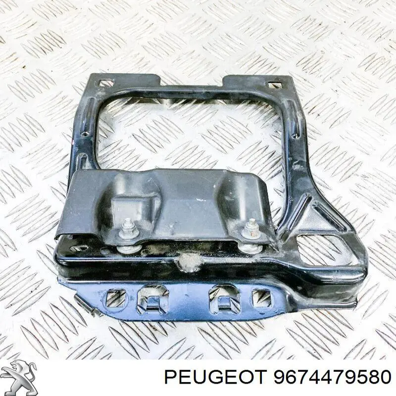 9674479580 Peugeot/Citroen 