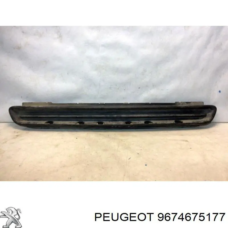  9674675177 Peugeot/Citroen