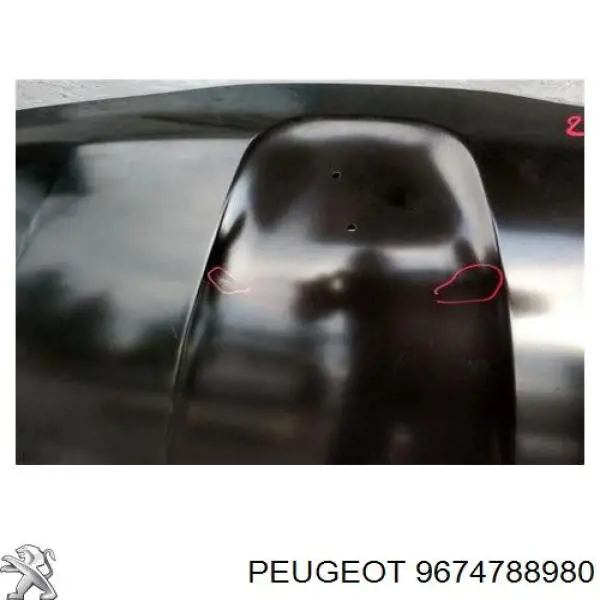 Купити 9674788980 Peugeot/Citroen Капот