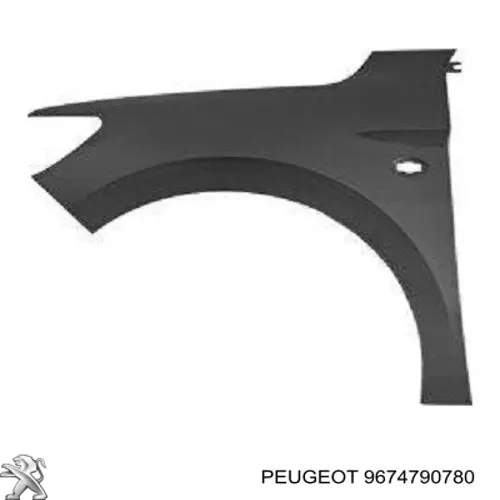 9674790780 Peugeot/Citroen Переднє ліве крило