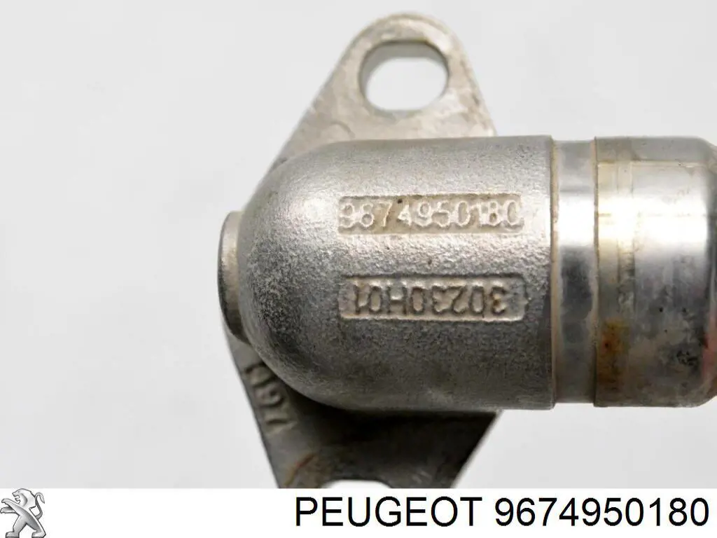  9674950180 Peugeot/Citroen