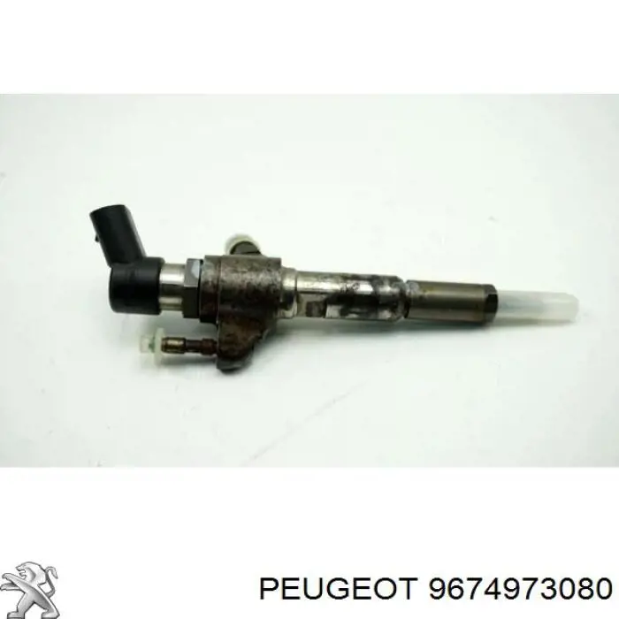 Купити 9674973080 Peugeot/Citroen Форсунка дизельна в зборі, розпилювач + тримач