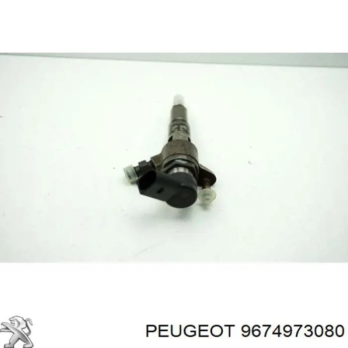 Паливні форсунки 9674973080 Peugeot/Citroen