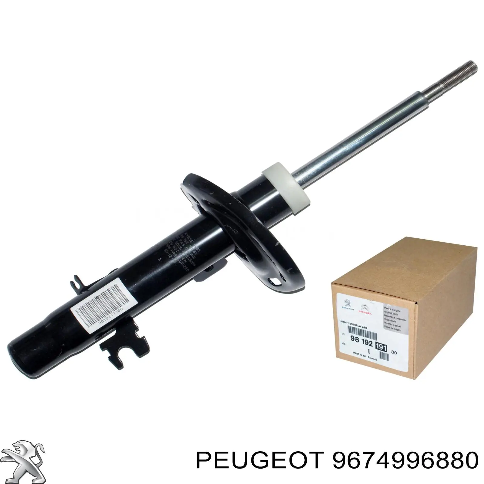 9674996880 Peugeot/Citroen 