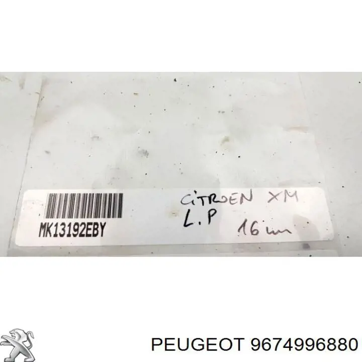  9674996880 Peugeot/Citroen