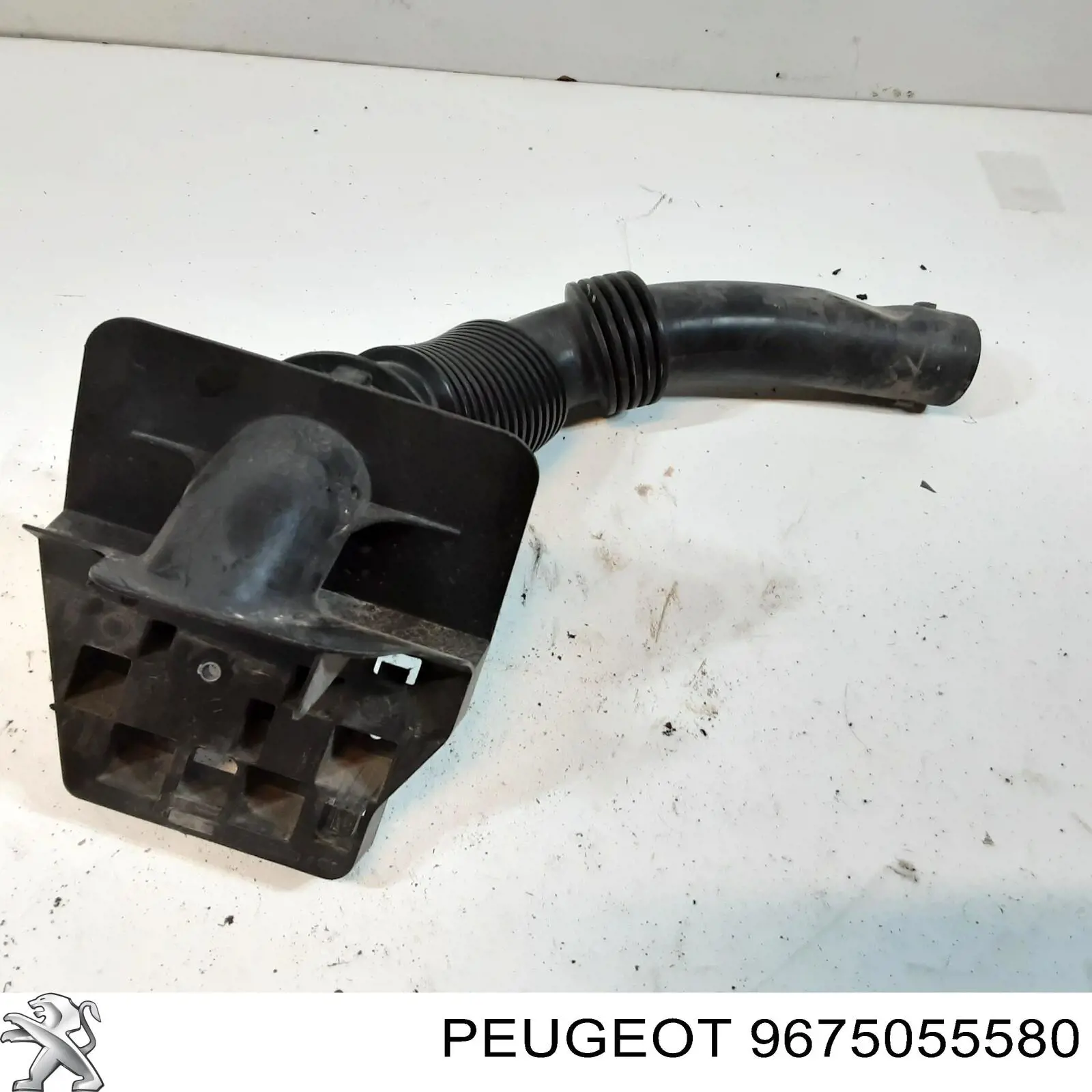 Купити 9675055580 Peugeot/Citroen 