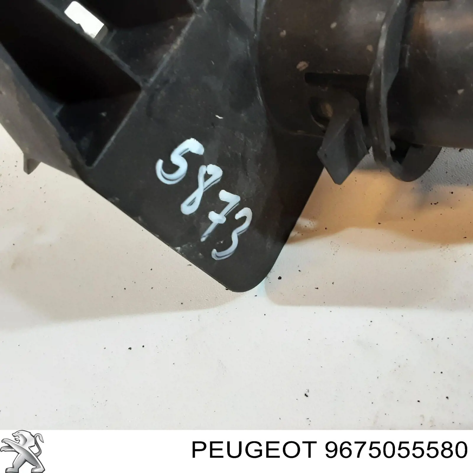 9675055580 Peugeot/Citroen 