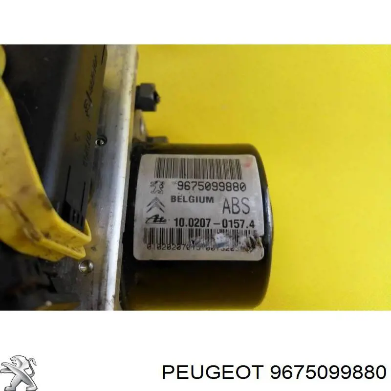 9675099880 Peugeot/Citroen 