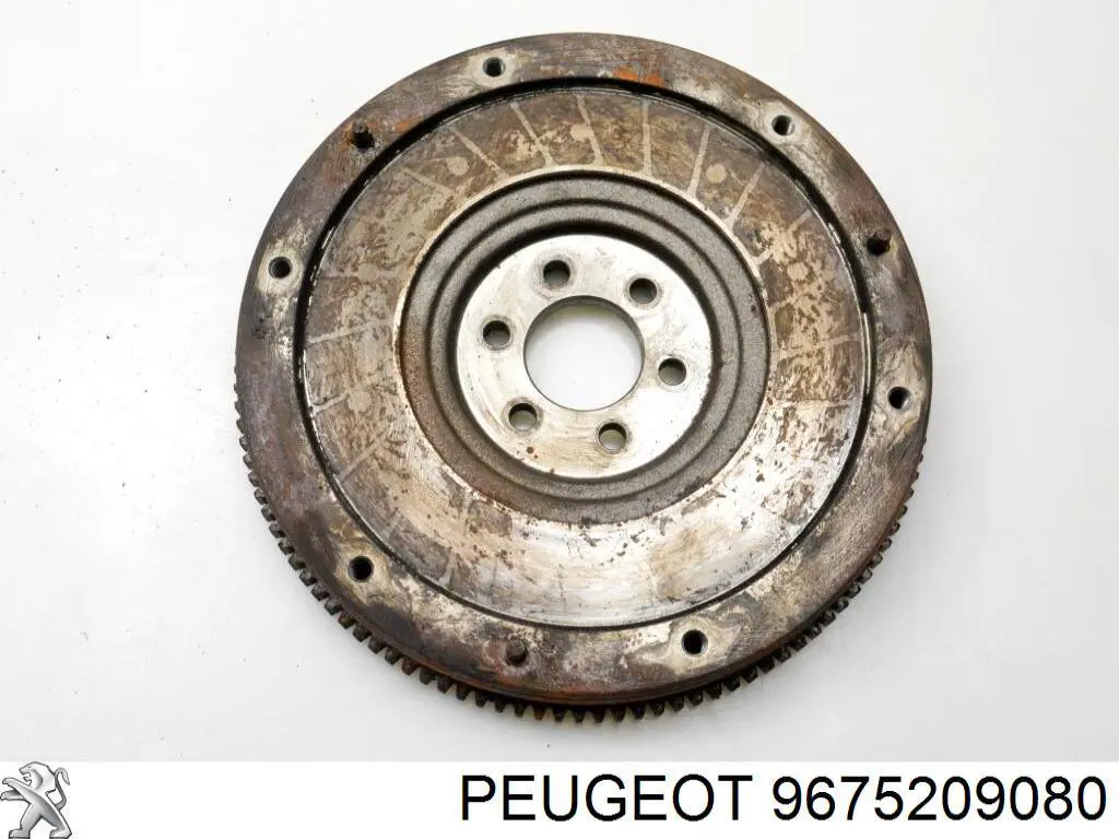 9675209080 Peugeot/Citroen