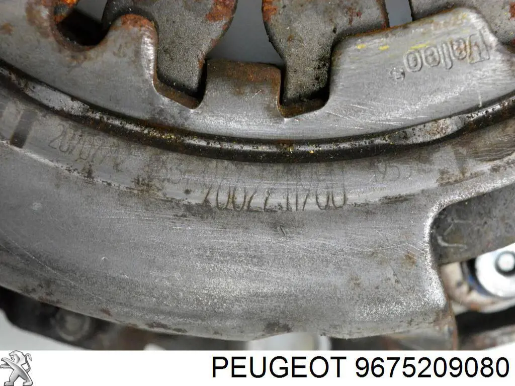 Купити 9675209080 Peugeot/Citroen 