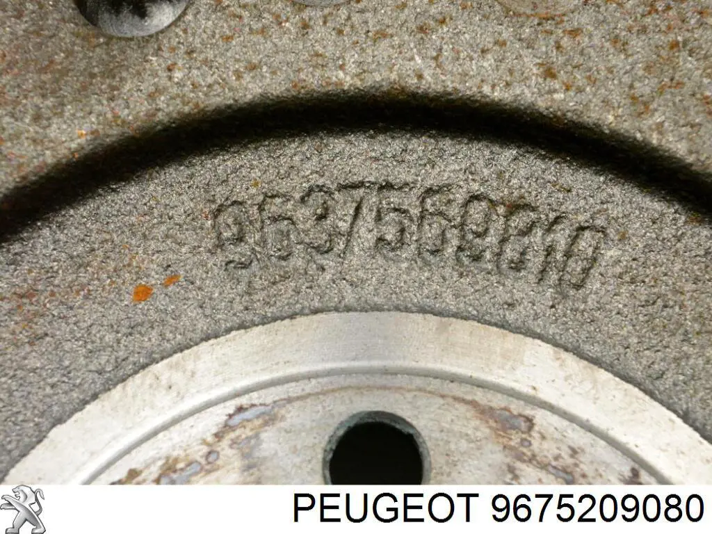 9675209080 Peugeot/Citroen 