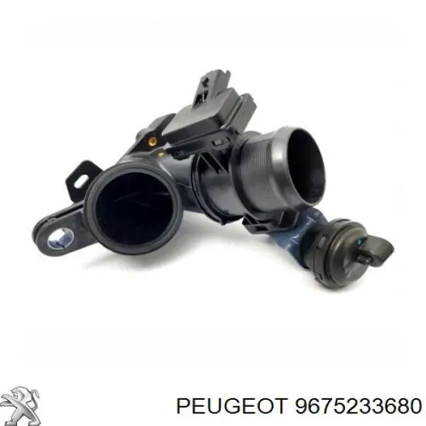  Peugeot/Citroen 9675233680