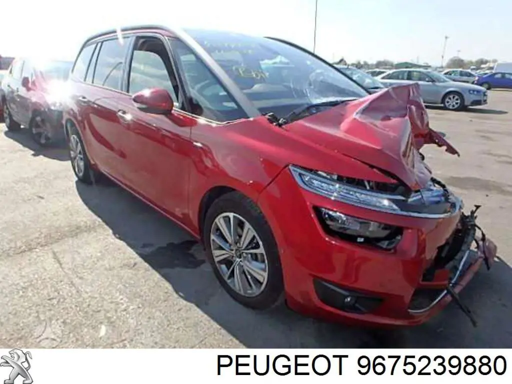 9830026080 Peugeot/Citroen 