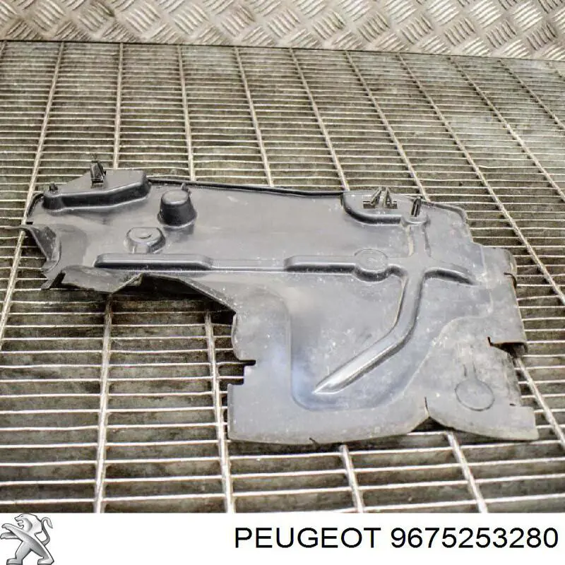 Купити 9675253280 Peugeot/Citroen Повітропровід (дефлектор) радіатора, лівий