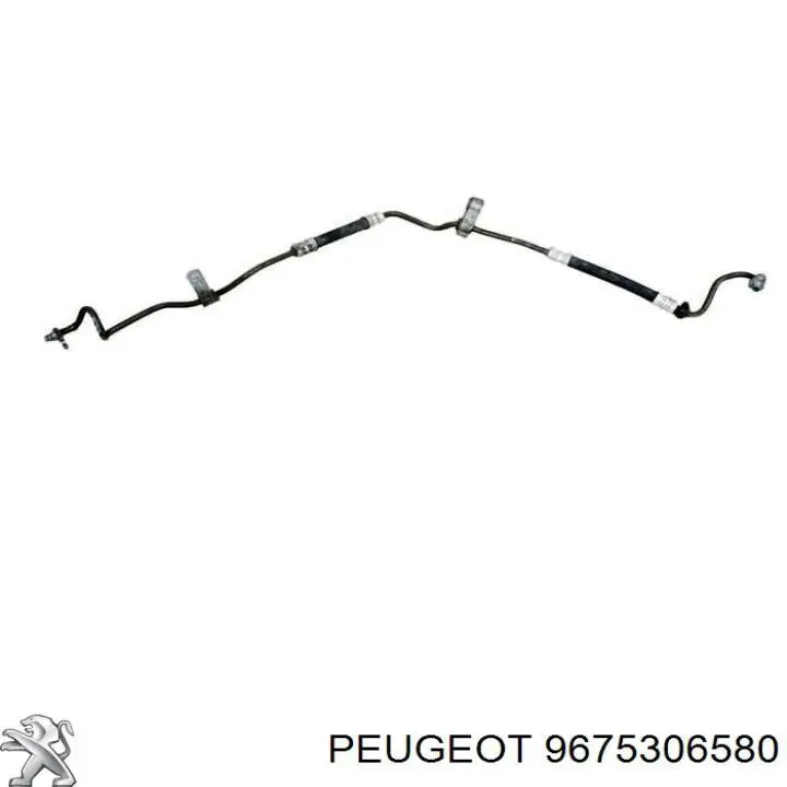 9675306580 Peugeot/Citroen 