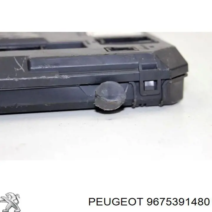  9675391480 Peugeot/Citroen