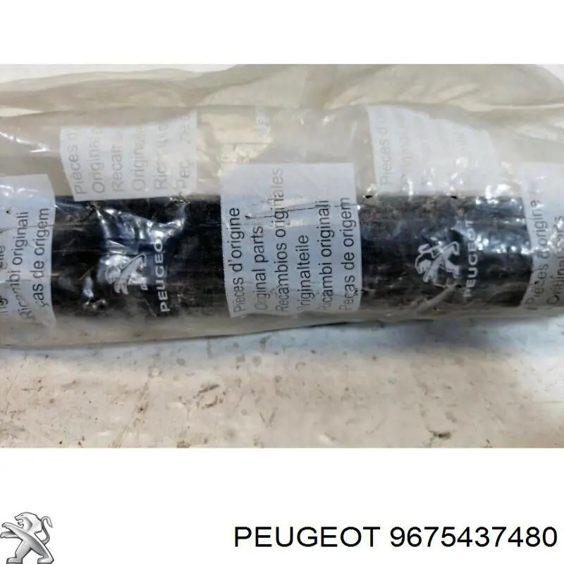 Купити 9675437480 Peugeot/Citroen 
