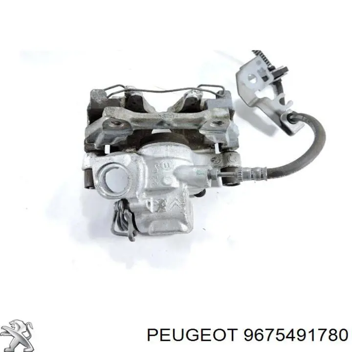 Гальмо стоянкове Peugeot/Citroen 9675491780