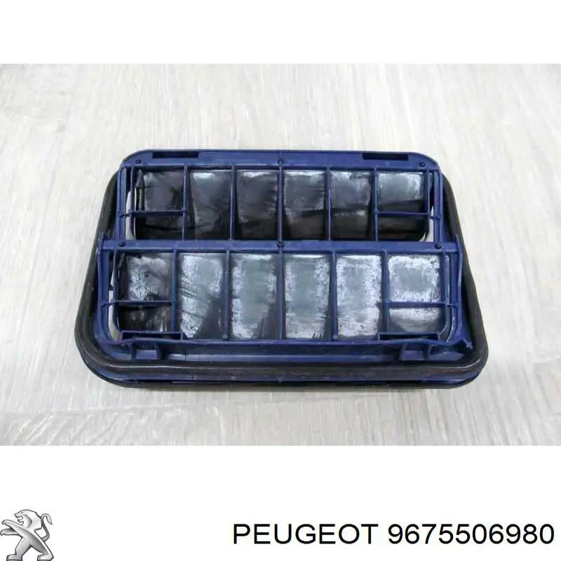  9675506980 Peugeot/Citroen