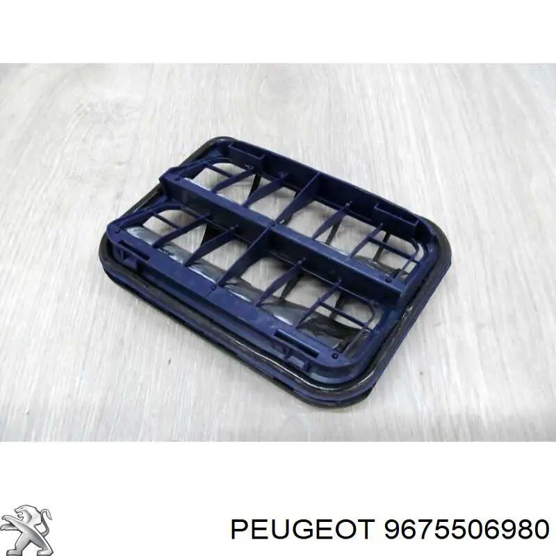 Купити 9675506980 Peugeot/Citroen 