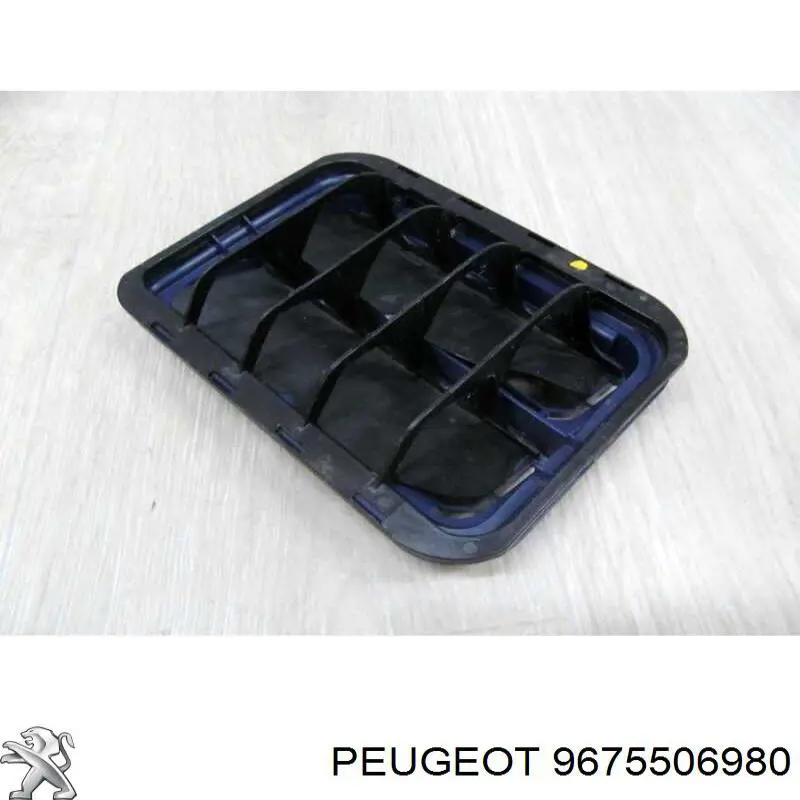 9675506980 Peugeot/Citroen 