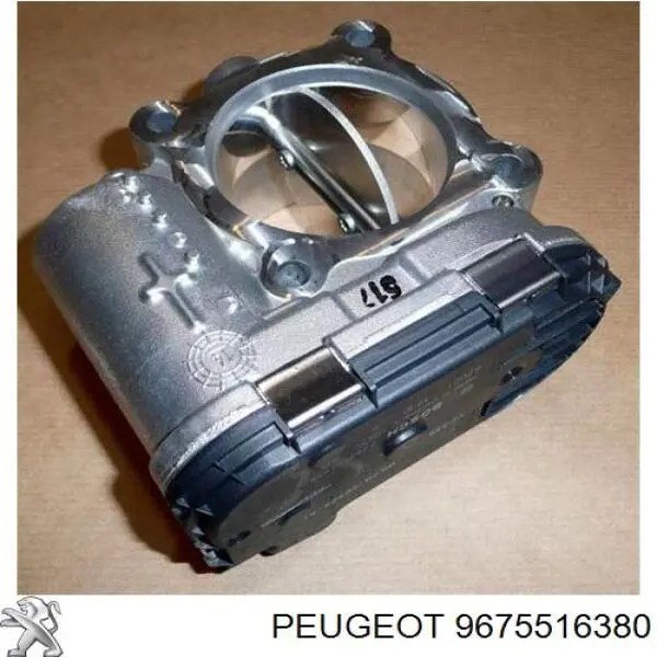 9675516380 Peugeot/Citroen дросільна заслінка в зборі