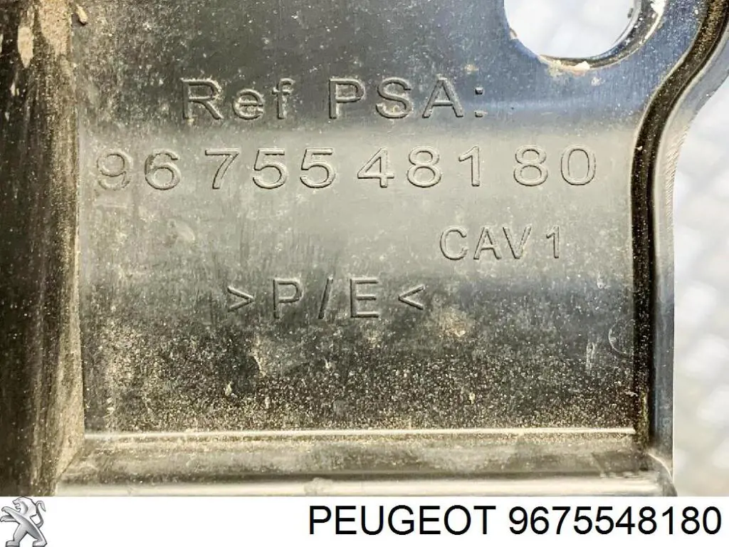 Купити 9675548180 Peugeot/Citroen 