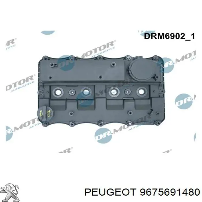 Купити 9675691480 Peugeot/Citroen Клапанна кришка