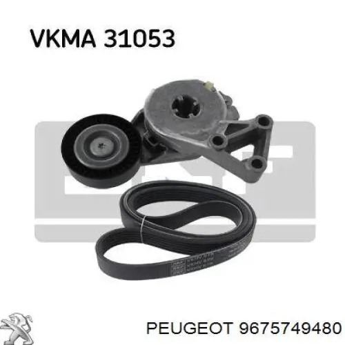 Клиновий ремінь Peugeot/Citroen 9675749480 ціна, від 10.14 USD