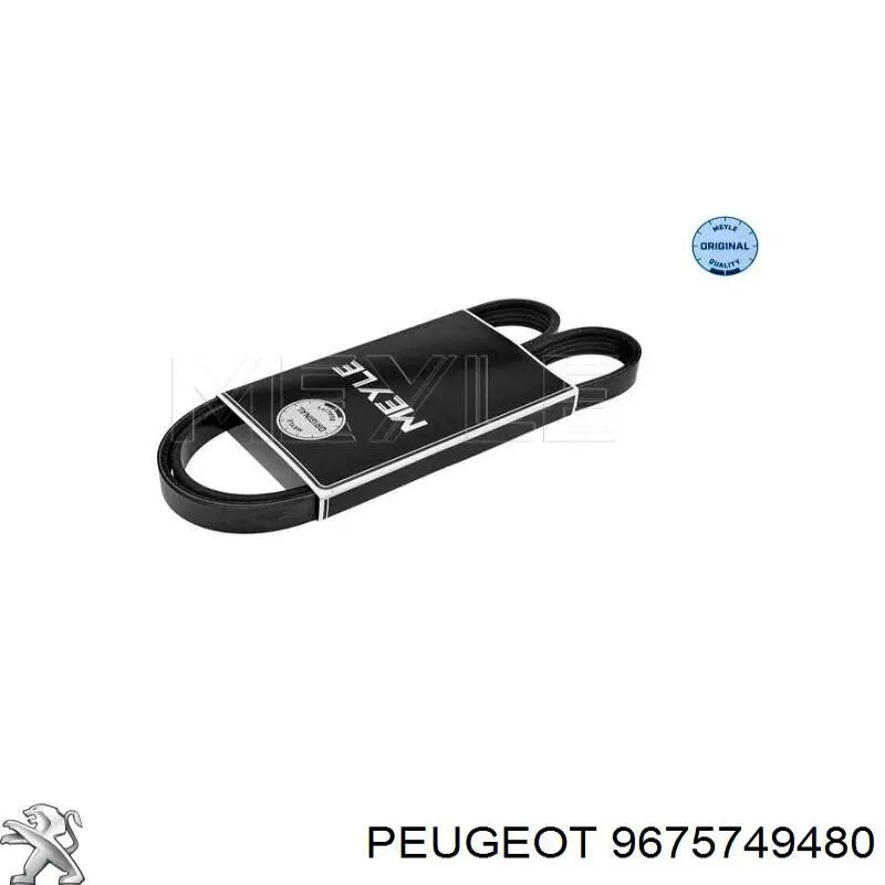 Купити 9675749480 Peugeot/Citroen Ремінь генератора