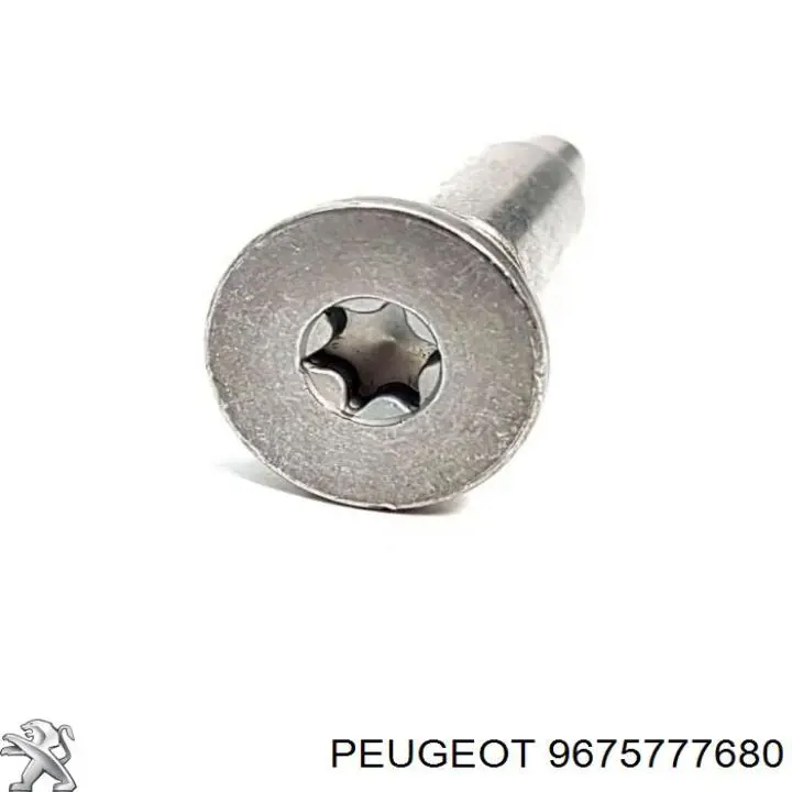 Купити 9675777680 Peugeot/Citroen Натягувач ланцюга ГРМ