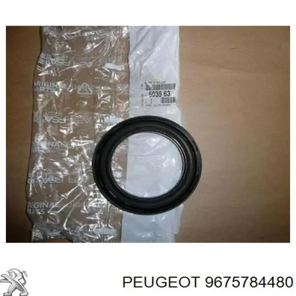 9675784480 Peugeot/Citroen 