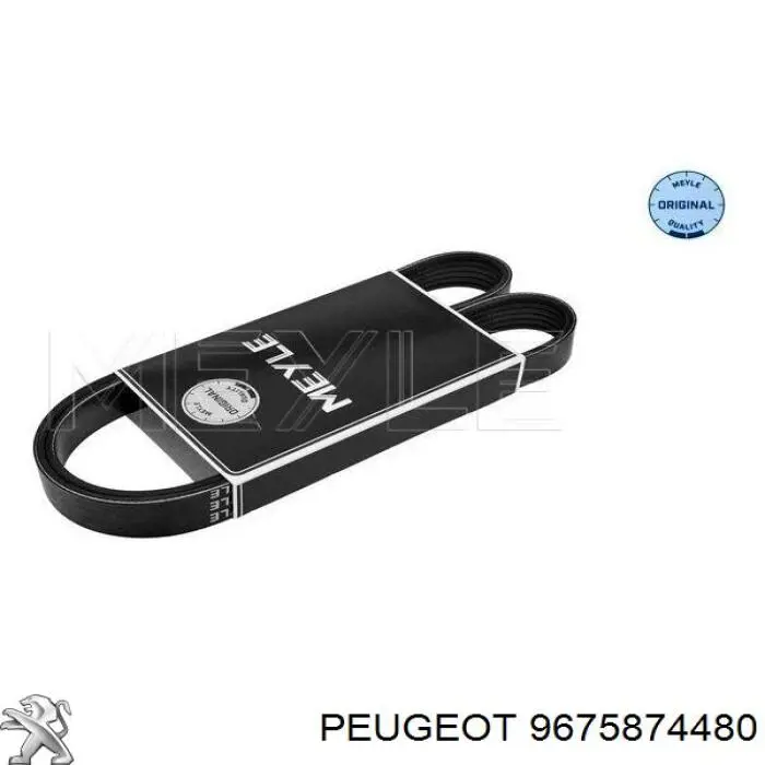 Клиновий ремінь Peugeot/Citroen 9675874480 ціна, від 10.12 USD