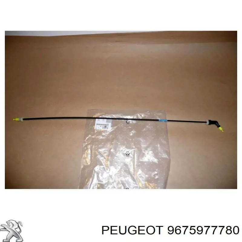 Купити 9675977780 Peugeot/Citroen 