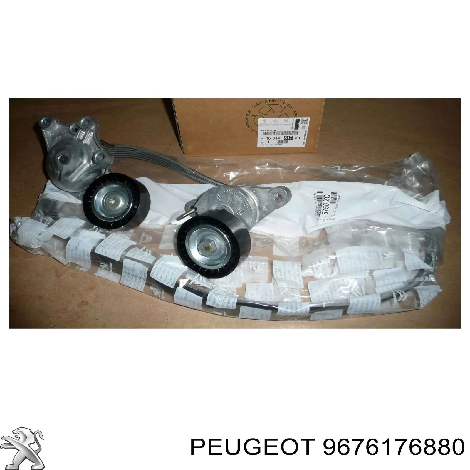 9676176880 Peugeot/Citroen 