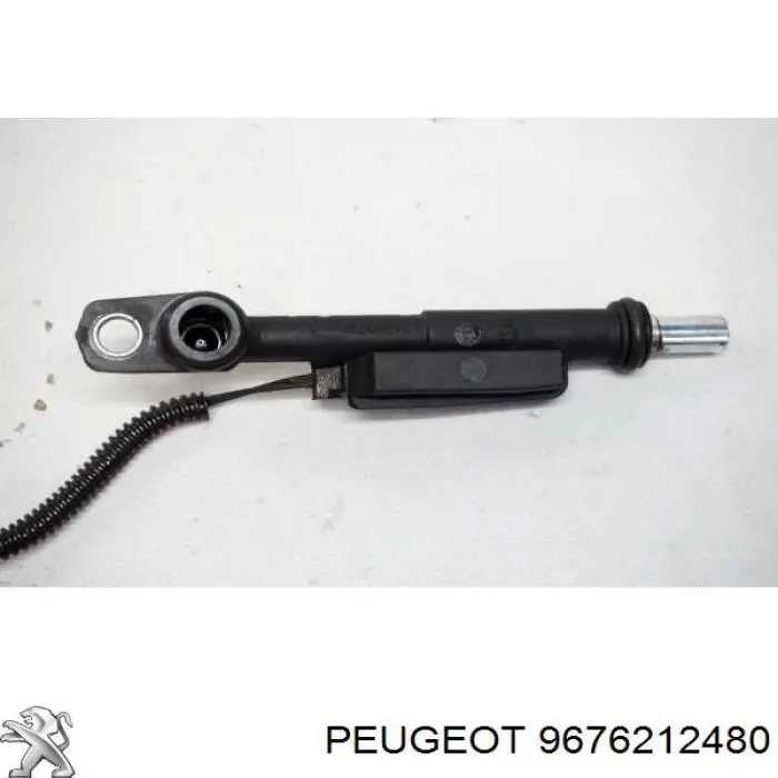 9676212480 Peugeot/Citroen 