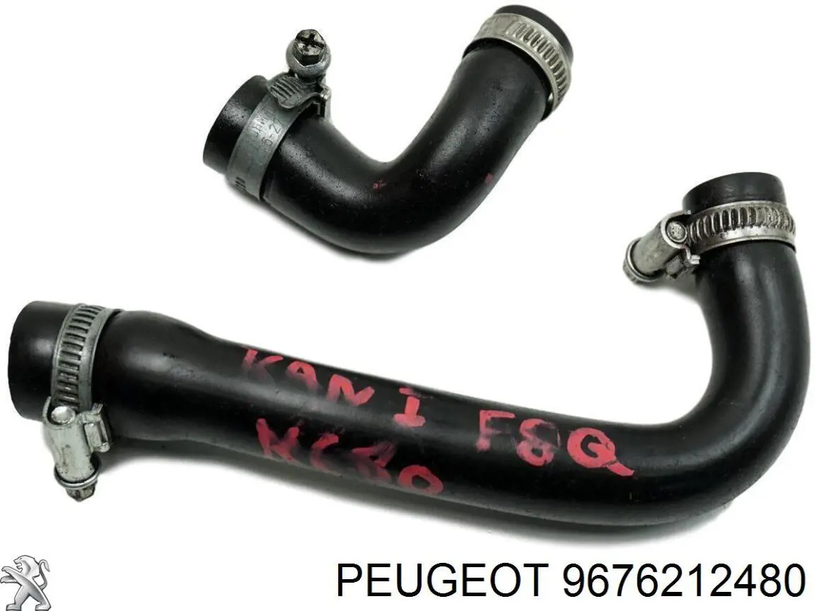  Peugeot/Citroen 9676212480