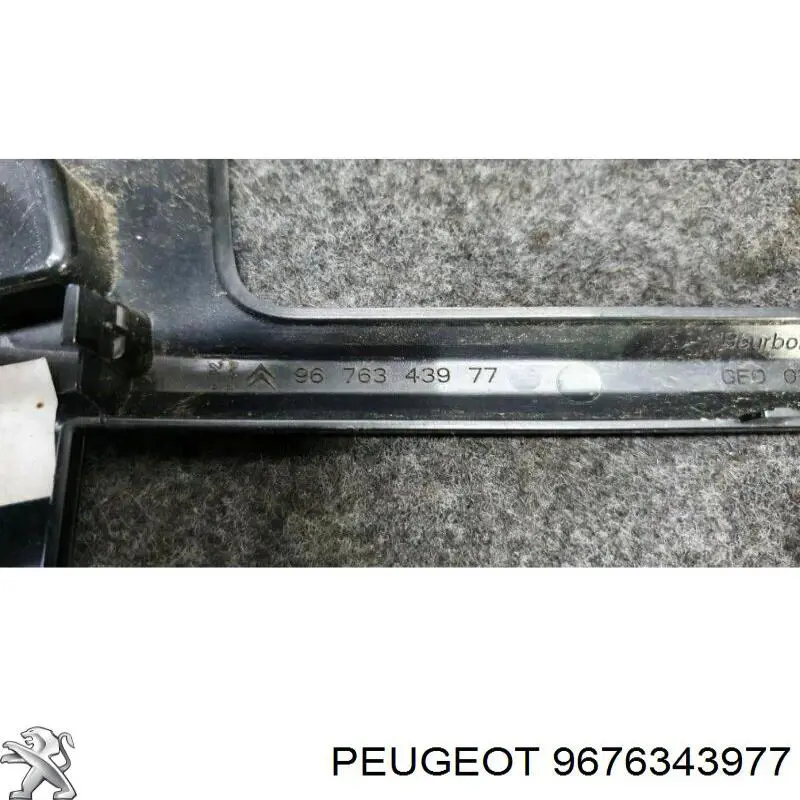 9676343977 Peugeot/Citroen 