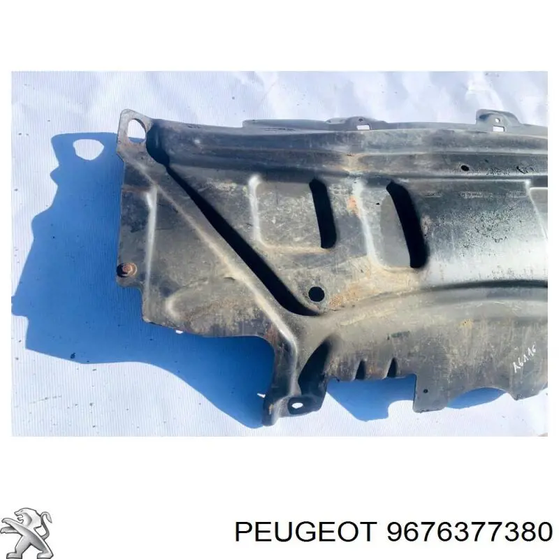 9676377380 Peugeot/Citroen 