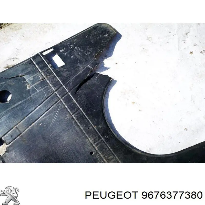  Peugeot/Citroen 9676377380 ціна, від 14.65 USD