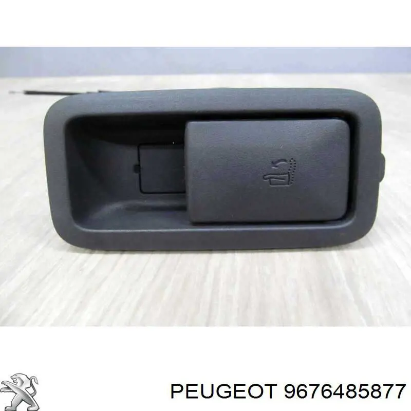 9676485877 Peugeot/Citroen 