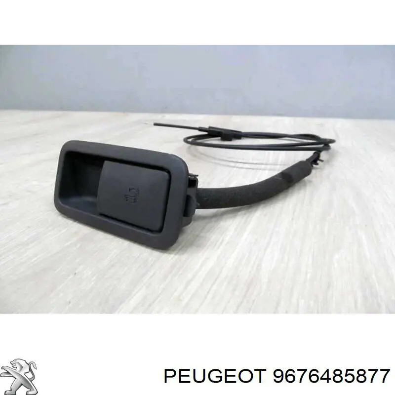 Купити 9676485877 Peugeot/Citroen 