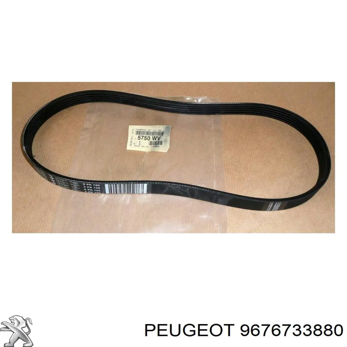 Купити 9676733880 Peugeot/Citroen 