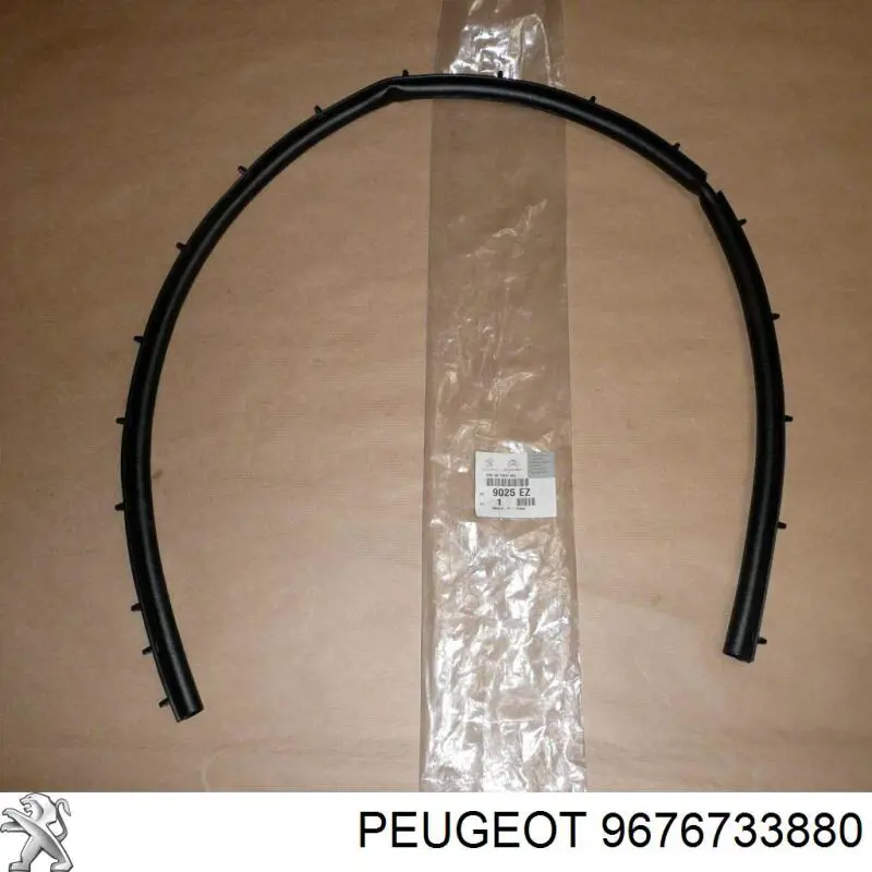9676733880 Peugeot/Citroen 